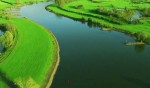 Arcadis België