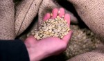 Koffiebranderij Peeze